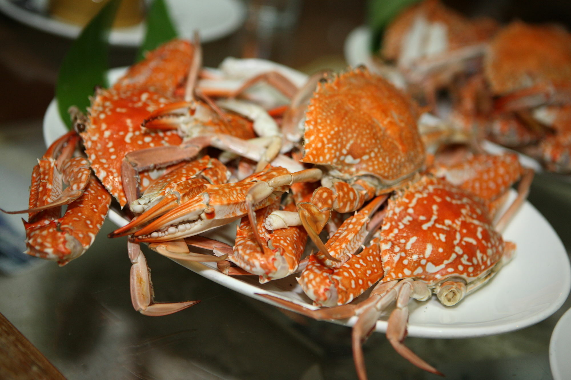 Salakphet Resort Koh Chang Eksteriør bilde